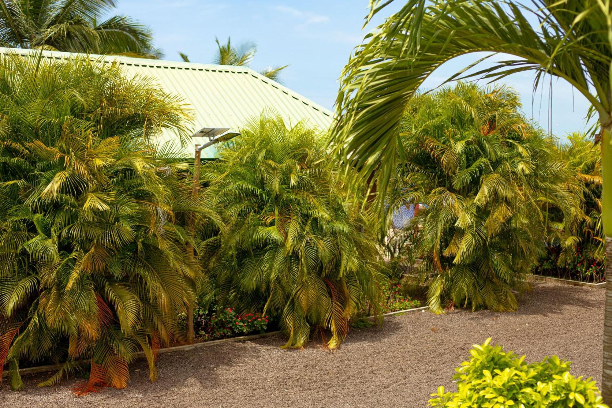 Golden Hill Parker Hotel Elmina Exterior photo